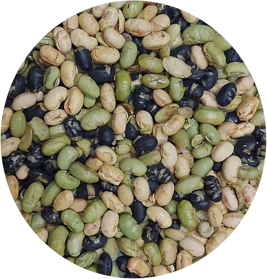 Roasted Protein Beans