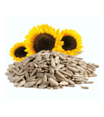 Sunflower Seeds